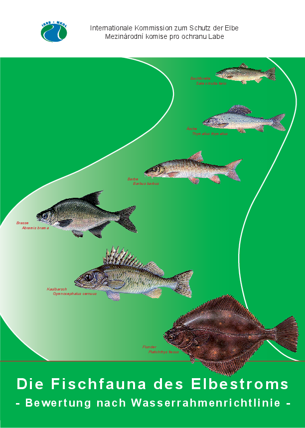 Die Fischfauna des Elbestroms – Bewertung nach Wasserrahmenrichtlinie