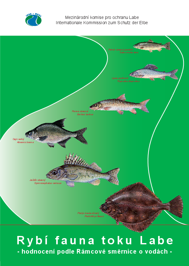 Rybí fauna toku Labe – hodnocení podle Rámcové směrnice o vodách