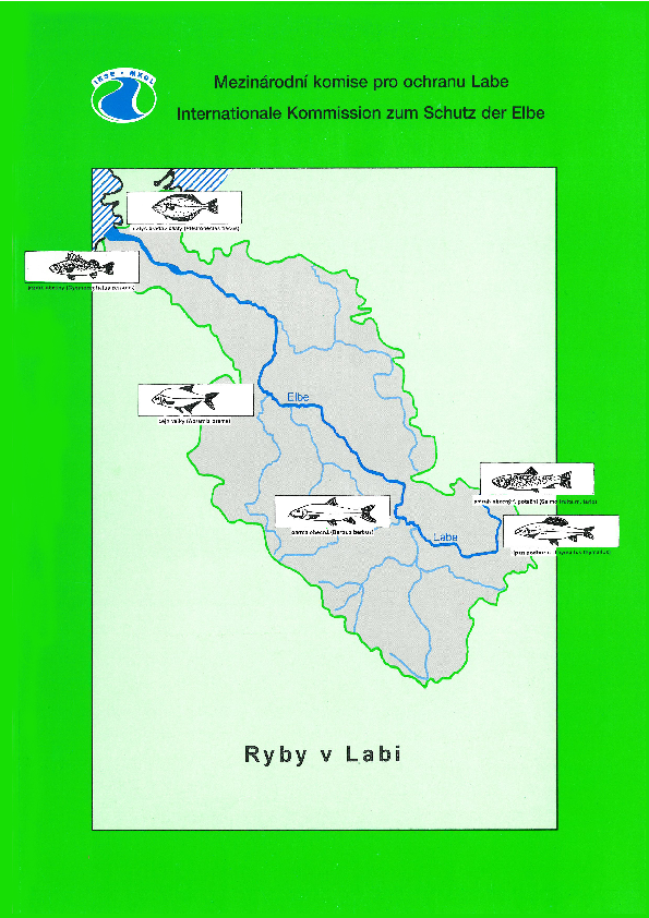 Ryby v Labi